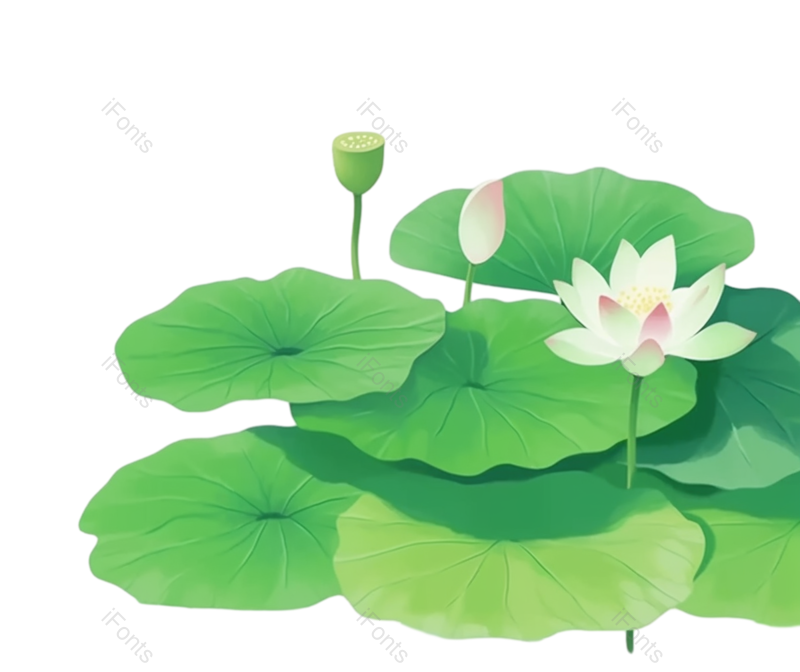 夏至图片,元素元素,清新PNG,荷花免抠素材